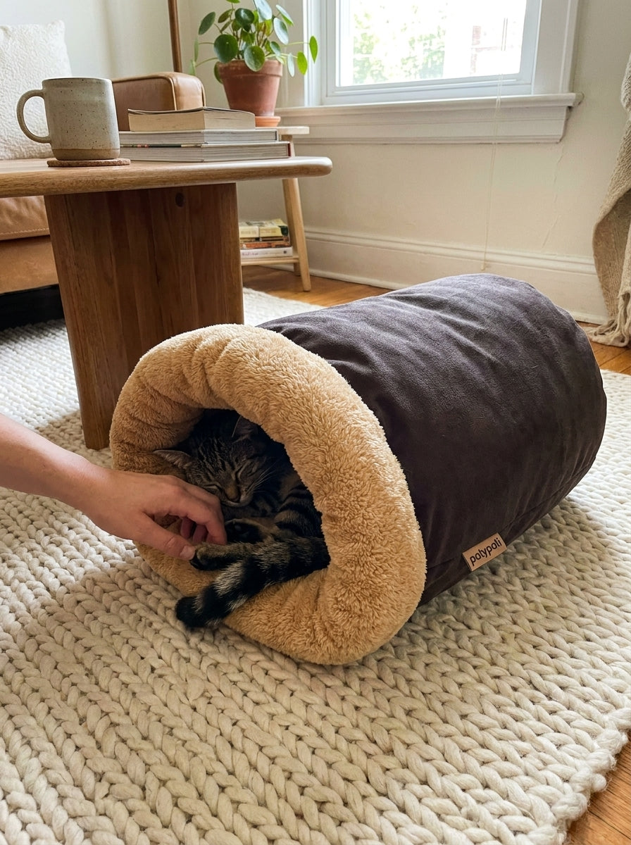 patypati divider